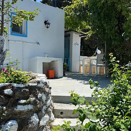 Greek House Tatiana Kosz