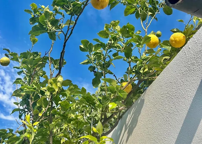 Nyaraló Greek House Tatiana Kosz