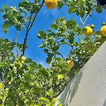 Tatil Evi Greek House Tatiana İstanköy